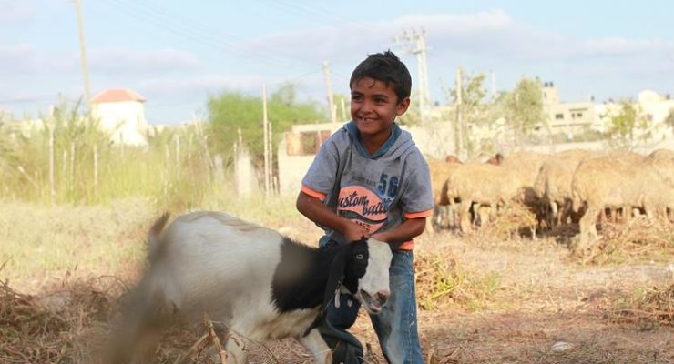 Palestinian Gaza’s Food System has been Stretched to Breaking Point by Israel