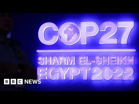 COP27 flinched on phasing out ‘All Fossil Fuels’. What’s next for the Fight to keep them in the Ground?