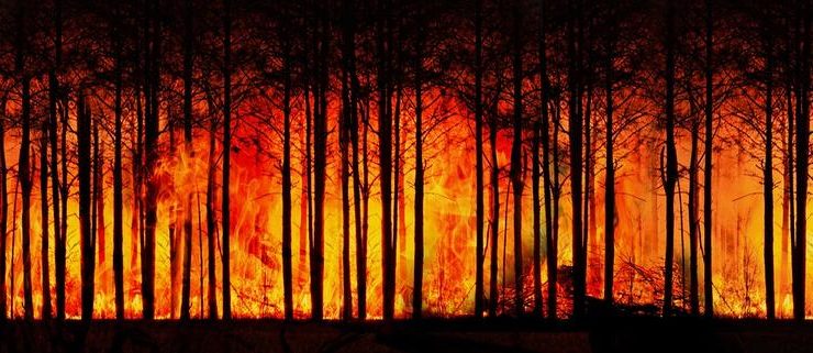 Many Forests will become highly Flammable for at least 30 extra Days per Year unless we cut Emissions