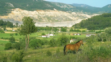 Climate Crisis: Though Turkey’s Forests are at Risk from Wildfires, the Country is still Wedded to Dirty Coal