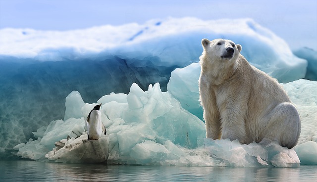 How analyzing ancient and modern Polar Bear Samples Reveals the Full Scope of Global Heating