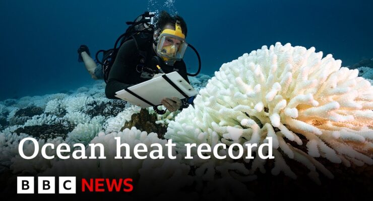 Oceans Hit Hottest Average Temperature ever Recorded, endangering Ecosystems on which We Depend