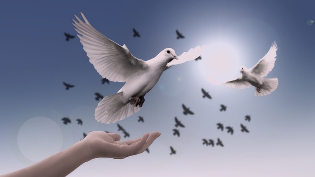 A hand releasing a dove into the sky with a flock in the background