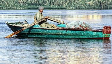Microplastics found in Nile River Fish: Toxic Pollution threatens World’s Longest River