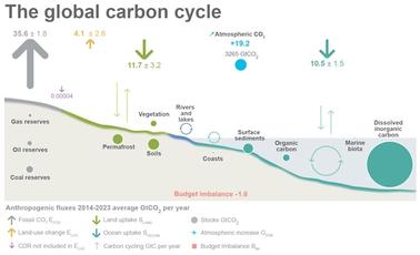 The Worst News from 2024: CO2 Went up again, as Tundra starts to Emit Carbon