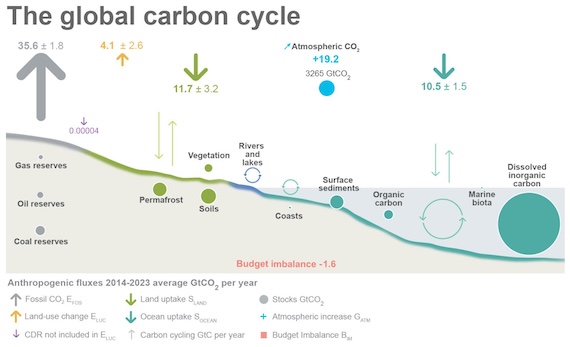 The Worst News from 2024: CO2 Went up again, as Tundra starts to Emit Carbon