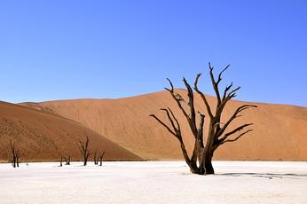 Climate Breakdown makes Atmosphere Thirstier, Worsens Droughts