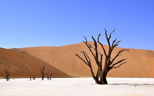 Climate Breakdown makes Atmosphere Thirstier, Worsens Droughts