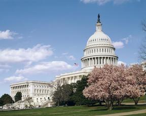 On the Electoral Tactics of the American Historical Association