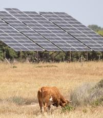 Green Energy and protecting Nature get the Thumbs up in Climate Change study in 68 Countries
