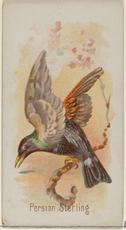 “The Bird is on the Wing”: FitzGerald’s Rubáiyát of Omar Khayyám 1:7