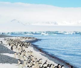 We’ll all Feel the Abrupt Changes Striking Antarctica Sea Ice and Ocean Currents