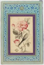 “Look to the Rose:”  Edward FitzGerald’s  Rubáiyát of Omar Khayyám 1:13