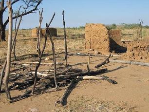 Sudan Mass Atrocities in Captured Darfur City: Rampant Abuse of Fleeing Civilians by RSF