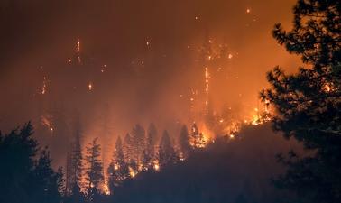 How Wildfires and other Climate Disasters put Health Systems under extreme Pressure