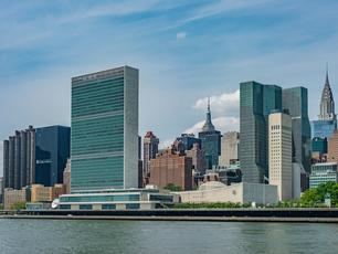 Urgent Next Steps for Palestine at the UN, Regardless of the Trump Plan