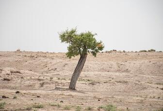 What Policies Can Help Solve Iran’s Climate-Driven Water Shortage?