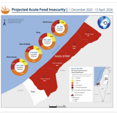 UN’s IPC: Gaza out of Famine for Now, but Severe Malnutrition Continues, as Newborn dies of Hypthermia