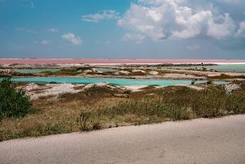 Dutch Judges Order Netherlands to protect its Caribbean Island of Bonaire from Climate Change