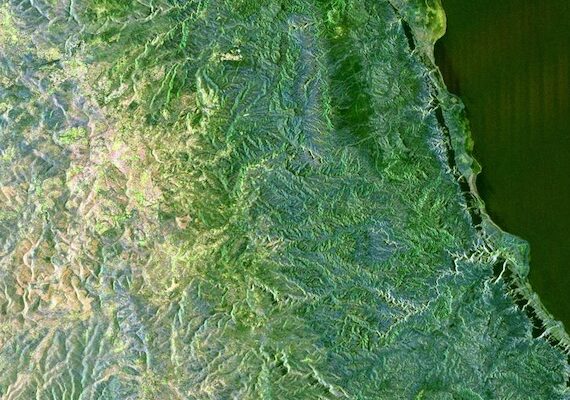 The Disappearance of Palestine