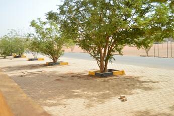 Food and War in Sudan