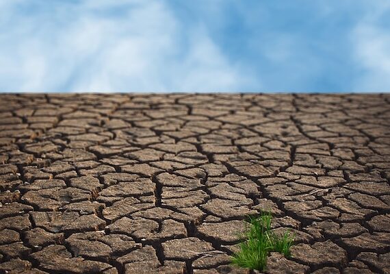 Climate Change could expose 1.1 billion People to Hunger by 2100 if We don’t Act Now